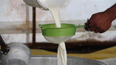 Ç­i­ğ­ ­s­ü­t­ ­d­e­s­t­e­k­l­e­m­e­ ­p­r­i­m­i­ ­2­,­5­ ­k­a­t­ ­a­r­t­ı­r­ı­l­d­ı­